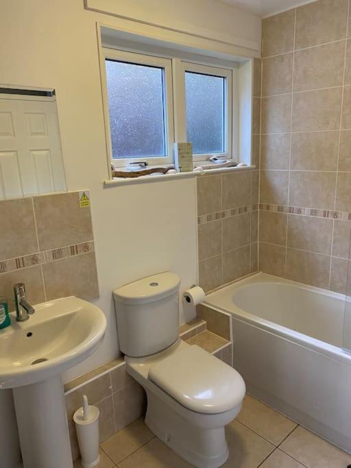 3 Bedroom Lodge With Hot Tub On Lovely Quiet Holiday Park In Cornwall Gunnislake Kültér fotó